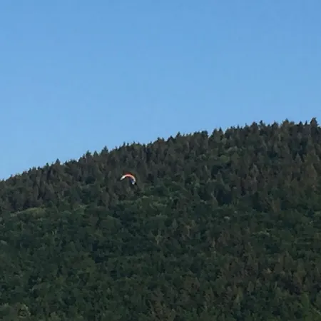 Apartman 